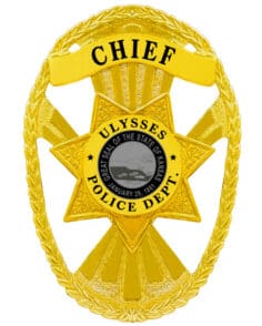 Badge for police a gold badge with a star