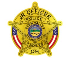 Jr Police Sticker Badges for Kids