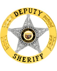 Gold Police Badge