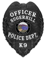 Police Badge In Black