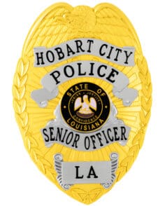 Senior police officer badge