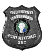 Black Police Badge