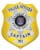 police captain badge a yellow police badge with white text