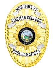 Gold Police Badge