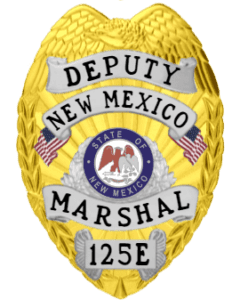 Custom law enforcement badges marshal