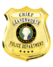 police officer chief a gold badge with a picture of a man