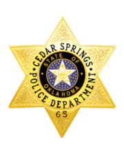 badge cop a yellow star with a blue and white star