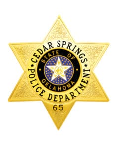 Badge cop a yellow star with a blue and white star