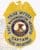 Special Agent Federal Protective Services Badges