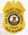 Special Agent Federal Protective Services Badges