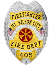 Customization Options for Fire Department Badges Firefighter