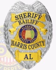 Custom Badges Sheriff: Official Badges for Law Enforcement Professionals with eagle a close-up of a badge