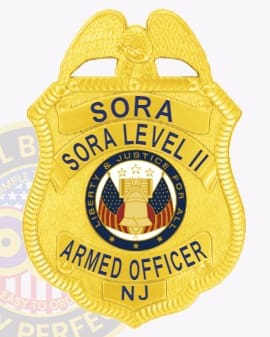 Sora level 2 badges: custom designed badges for armed security officers in new jersey a gold police badge with blue text with logo