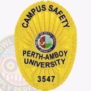 gold custom police badges Campus-Safety-Badge