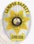 11-D16-3CS How to Buy Custom Campus Safety Badges And University Security Badges Gold Silver