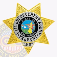 15-h11bea buy bail enforcement agent badge silver and gold online near me