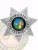 15-H11BEA Buy Bail Enforcement Agent Badge Silver Badges Online Near Me