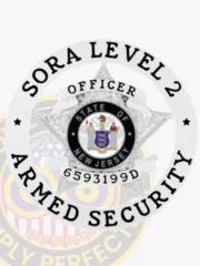 19-A1SA SORA Level 2 Armed Security Badge Silver Badges