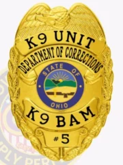 2-C10-2K9 Where to Buy Custom K9 Badges And Police Canine Badge Gold Badges