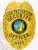 2-C10-2LPO Buy Loss Prevention Officer Badge Gold Badges