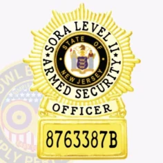 25-a1 sora level 2 armed security badge gold