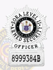 25-A1 SORA Level 2 Armed Security Badge Silver Badges