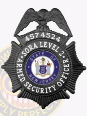 27-SB1SA SORA Level 2 Armed Security Badge Gold Badges For New Jersey