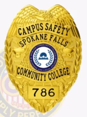 3-C11CS How to Buy Custom Campus Safety Badges And University Security Badges Gold Badges