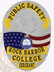 9-A1CS How to Buy Custom Campus Safety Badges And University Security Badges Gold Silver Badges