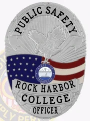 9-A1CS How to Buy Custom Campus Safety Badges And University Security Badges Silver Badges