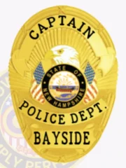 11-D17 Custom Police Badges And Design, Create, Build and Order Personalized Police Badges Officer Badges Gold Badges