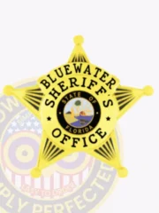 14-B1 Buy Custom Sheriff Badges And Design Create Build and Order Personalized Sheriff Badges Deputy Gold Badges