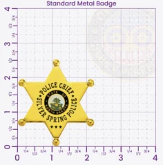 14-D10-3 Custom Police Badges And Design, Create, Build and Order Personalized Police Badges Officer Badges Gold Badges 2.55 Standard