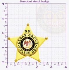 14-H10-2 Custom Police Badges And Design, Create, Build and Order Personalized Police Badges Officer Badges Gold Badges 2.625 Standard