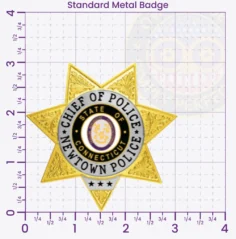 15-H11-1 Custom Police Badges And Design, Create, Build and Order Personalized Police Badges Officer Badges Gold Badges 3 Standard