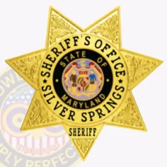 15-H11-1SFB Buy Custom Sheriff Badges And Design Create Build and Order Personalized Sheriff Badges Deputy Gold