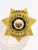 16-H31 Buy Custom Sheriff Badges And Design Create Build and Order Personalized Sheriff Badges Deputy Gold Badges