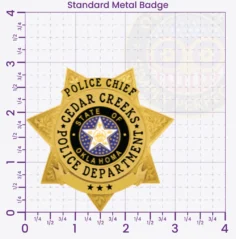 16-H31 Custom Police Badges And Design, Create, Build and Order Personalized Police Badges Officer Badges Gold Badges 2.91 Standard