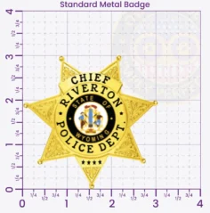 17-H15 Custom Police Badges And Design, Create, Build and Order Personalized Police Badges Officer Badges Gold Badges 3 Standard