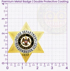 18-H14 Custom Police Badges And Design, Create, Build and Order Personalized Police Badges Officer Badges Gold Badges 2.83 Premium