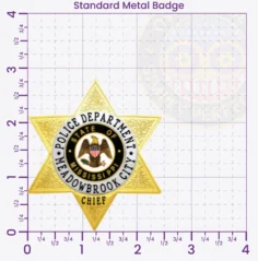 18-H14 Custom Police Badges And Design, Create, Build and Order Personalized Police Badges Officer Badges Gold Badges 2.83 Standard