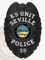 2-C10-2PLB Buy Custom Police Badges And Design, Create, Build and Order Personalized Police Badges Officer Badges Black Badges