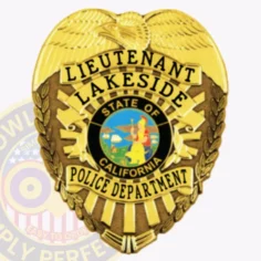 2-d2 custom police badges and design, create, build and order personalized police badges officer badges gold