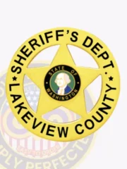 A custom metal badge in gold color with safety pin attachment, shaped like a star. The badge prominently displays "SHERIFF'S DEPT." and "LAKEVIEW COUNTY" in bold black letters around the outer edge. In the center, it features the state emblem of Washington, showcasing a portrait of George Washington, which adds an official touch suitable for law enforcement personnel.