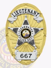 22-D22 Custom Police Badges And Design, Create, Build and Order Personalized Police Badges Officer Badges Gold Badges