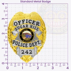 3-C11-2PLB Buy Custom Police Badges And Design, Create, Build and Order Personalized Police Badges Officer Badges Gold Silver 3.5 Standard badges