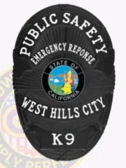 5-D10PFB Buy Custom Public Safety Badges And Design, Create, Build and Order Safety Officer Badges Black Badges