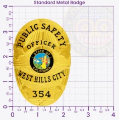 5-D10PFB Buy Custom Public Safety Badges And Design, Create, Build and Order Safety Officer Badges Gold 3.58 Standard