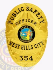 5-D10PFB Buy Custom Public Safety Badges And Design, Create, Build and Order Safety Officer Badges Gold Badges