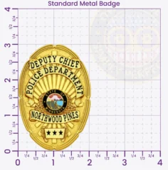 11-G1CMB Custom Badges And Design, Create, Build and Order Custom Badges Personalized Badges Officer Badges Northwood Pines Police Gold Badges 3 Standard